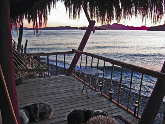Baja palapa I used to have